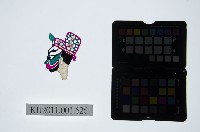 皮影戲偶頭-淨藏品圖，第1張