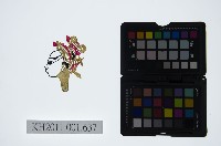 皮影戲偶頭-生藏品圖，第1張