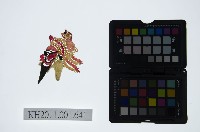 皮影戲偶頭-淨藏品圖，第1張