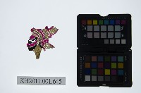 皮影戲偶頭-淨藏品圖，第1張