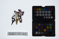 皮影戲偶頭-淨藏品圖，第1張