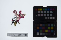 皮影戲偶頭-生藏品圖，第1張