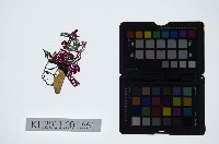 皮影戲偶頭-生藏品圖，第1張