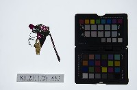 皮影戲偶頭-生藏品圖，第1張