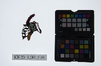 皮影戲偶頭-淨藏品圖，第1張