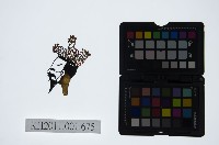 皮影戲偶頭-末藏品圖，第1張