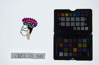 皮影戲偶頭-生藏品圖，第1張