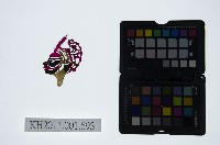 皮影戲偶頭-淨藏品圖，第1張