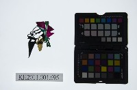 皮影戲偶頭-淨藏品圖，第1張