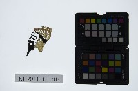 皮影戲偶頭-末藏品圖，第1張