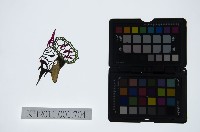 皮影戲偶頭-末藏品圖，第1張