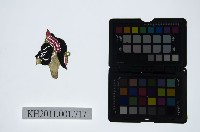 皮影戲偶頭-雜藏品圖，第1張