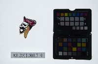 皮影戲偶頭-淨藏品圖，第1張