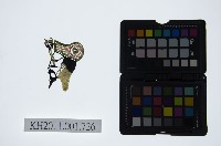 皮影戲偶頭-雜藏品圖，第1張