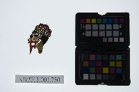 皮影戲偶頭-淨藏品圖，第1張