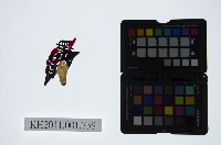 皮影戲偶頭-雜藏品圖，第1張