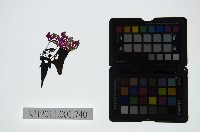 皮影戲偶頭-丑藏品圖，第1張