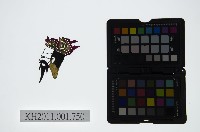 皮影戲偶頭-末藏品圖，第1張