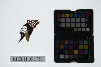 皮影戲偶頭-末藏品圖，第1張