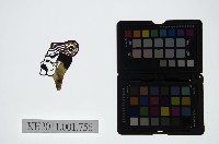 皮影戲偶頭-末藏品圖，第1張