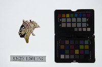 皮影戲偶頭-淨藏品圖，第1張