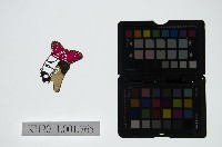 皮影戲偶頭-末藏品圖，第1張