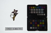 皮影戲偶頭-雜藏品圖，第1張