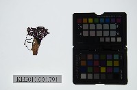 皮影戲偶頭-生藏品圖，第1張