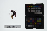 皮影戲偶頭-生藏品圖，第1張