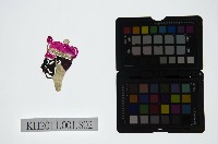 皮影戲偶頭-淨藏品圖，第1張