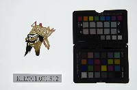 皮影戲偶頭-淨藏品圖，第1張