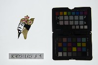 皮影戲偶頭-末藏品圖，第1張