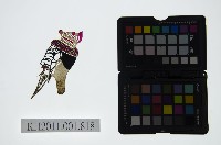 皮影戲偶頭-末藏品圖，第1張