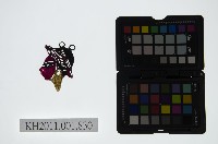 皮影戲偶頭-淨藏品圖，第1張