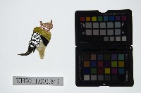 皮影戲偶頭-末藏品圖，第1張