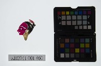 皮影戲偶頭-雜藏品圖，第1張