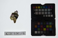 皮影戲偶頭-雜藏品圖，第1張