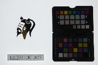 皮影戲偶頭-生藏品圖，第1張