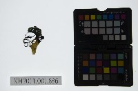 皮影戲偶頭-丑藏品圖，第1張