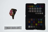 皮影戲偶頭-生藏品圖，第1張