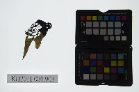 皮影戲偶頭-淨藏品圖，第1張