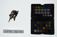 皮影戲偶頭-淨藏品圖，第1張