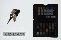 皮影戲偶頭-末藏品圖，第1張