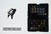 皮影戲偶頭-淨藏品圖，第1張