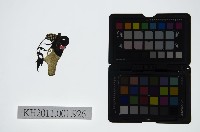 皮影戲偶頭-末藏品圖，第1張