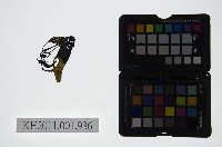 皮影戲偶頭-淨藏品圖，第1張