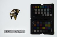 皮影戲偶頭-淨藏品圖，第1張