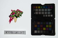 皮影戲偶頭-淨藏品圖，第1張