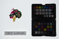 皮影戲偶頭-淨藏品圖，第1張