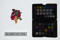 皮影戲偶頭-淨藏品圖，第1張